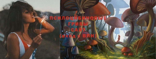 кокаин колумбия Бородино