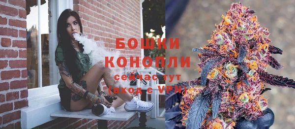 хмурый Бронницы