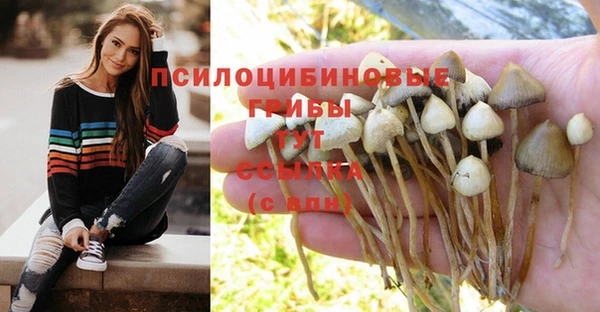 хмурый Бронницы