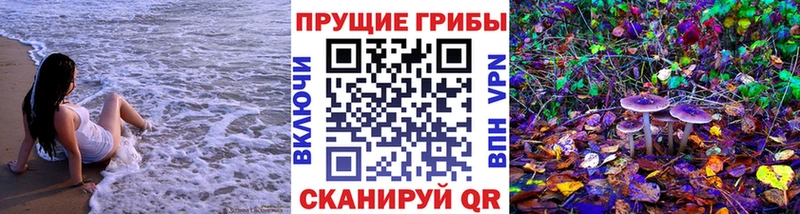 Псилоцибиновые грибы Magic Shrooms  Купить закладки  Рудня 